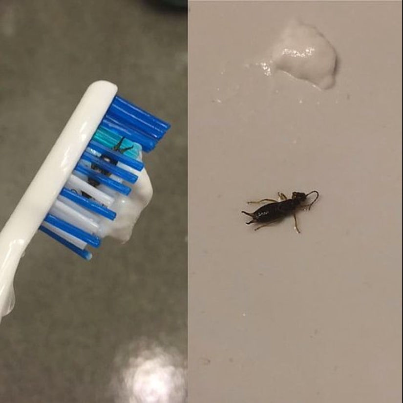 20 de los afortunados que lograron evitar el desastre 20 de los afortunados que lograron evitar el desastre