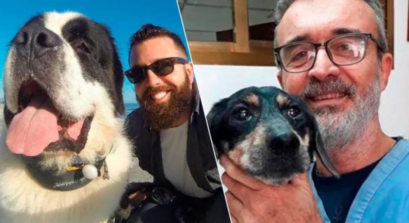 20 de tocar las fotos de los perros y sus dueños en el comienzo de una amistad después de muchos años