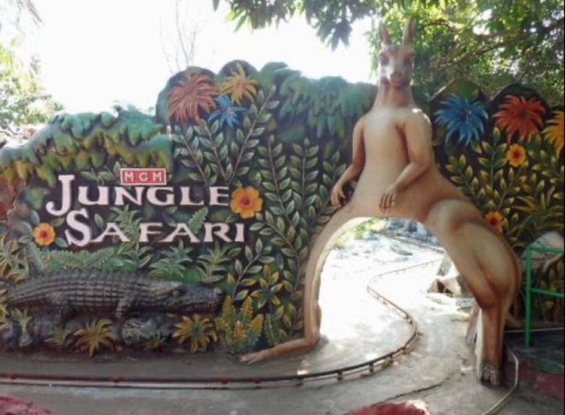 20 designers, whose imagination has gone too far