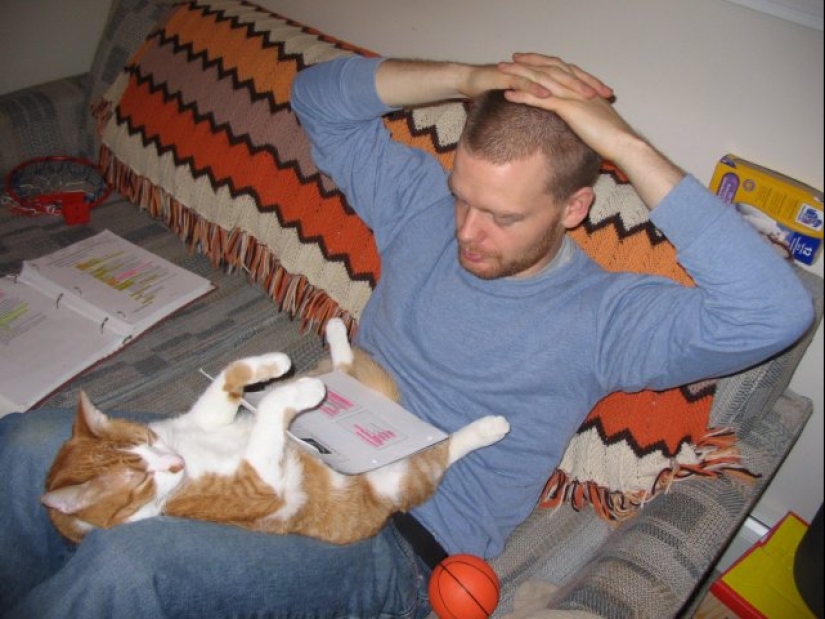 20 divertidas fotos de los gatos que te harán reír