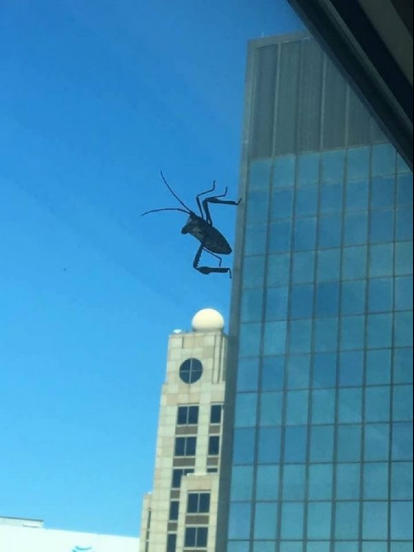 20 divertidas ilusiones ópticas que se producen en la vida cotidiana