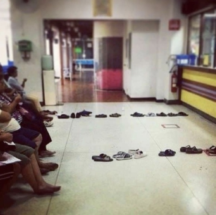 20 divertidos ejemplos de cuando la madre pereza ganó