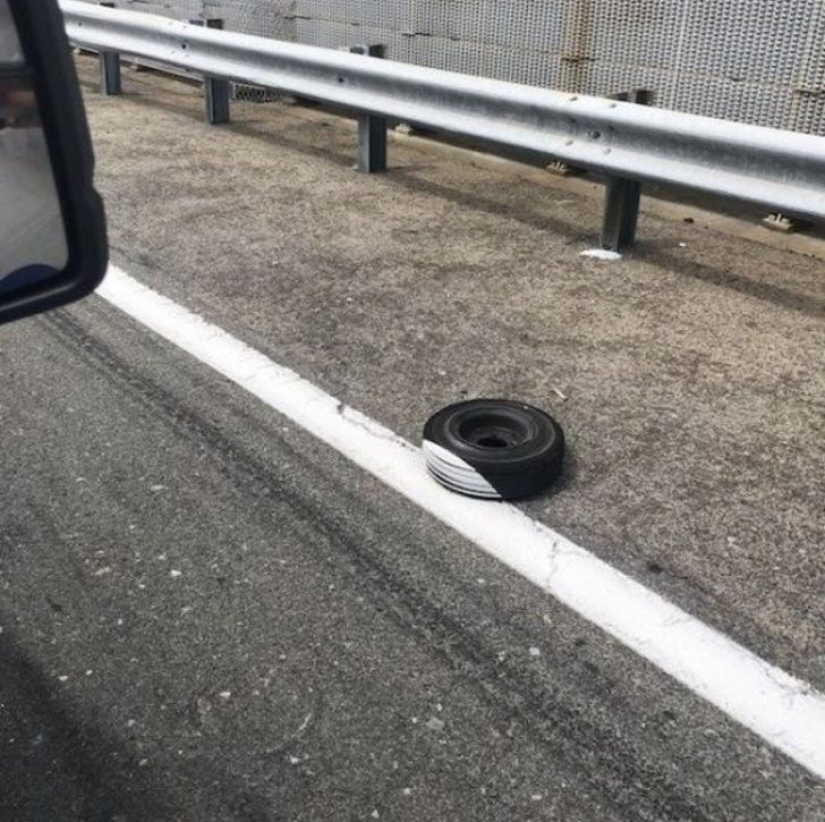 20 divertidos ejemplos de cuando la madre pereza ganó