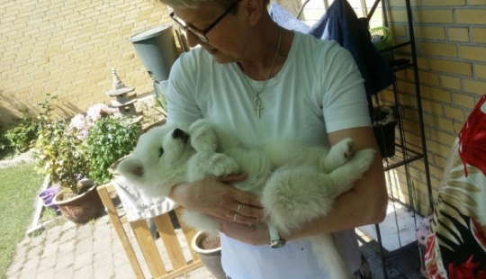 20 dramatic photos that moved any depths 20 dramatic photos that moved any depths