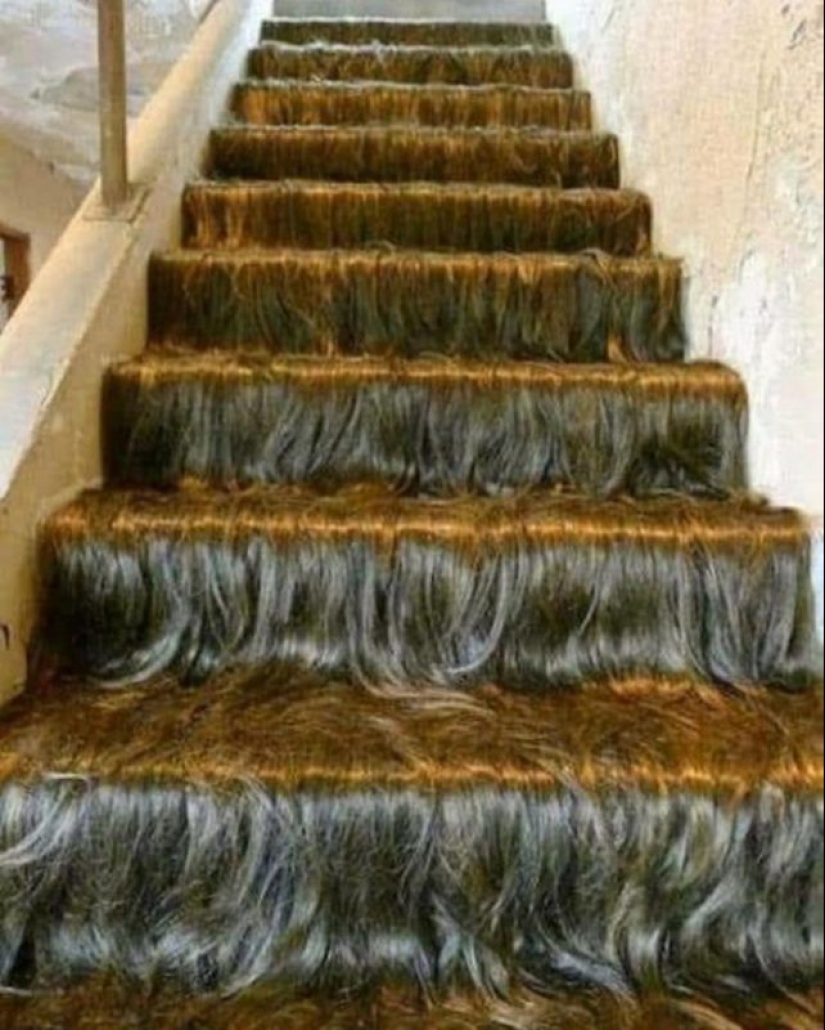 20 ejemplos de diseño de interiores que te dan ganas de llorar y reír 20 ejemplos de diseño de interiores que te dan ganas de llorar y reír