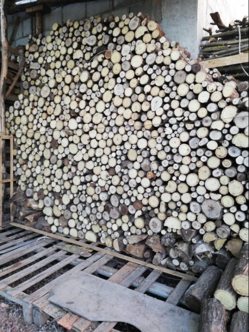 20 ejemplos ilustrativos de lo que se entiende por "una delicia visual"