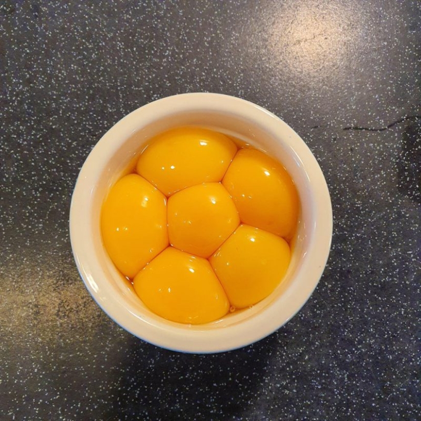 20 ejemplos ilustrativos de lo que se entiende por "una delicia visual"