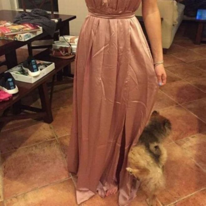 20 emotional snapshots that will melt the heart of even the "biscuit" 20 emotional snapshots that will melt the heart of even the "biscuit"