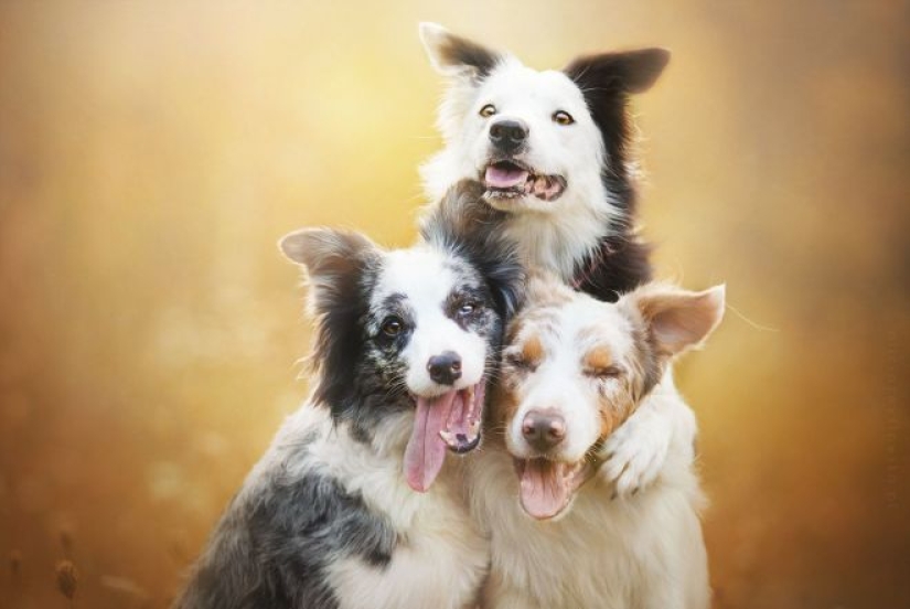 20 emotional snapshots that will melt the heart of even the "biscuit" 20 emotional snapshots that will melt the heart of even the "biscuit"