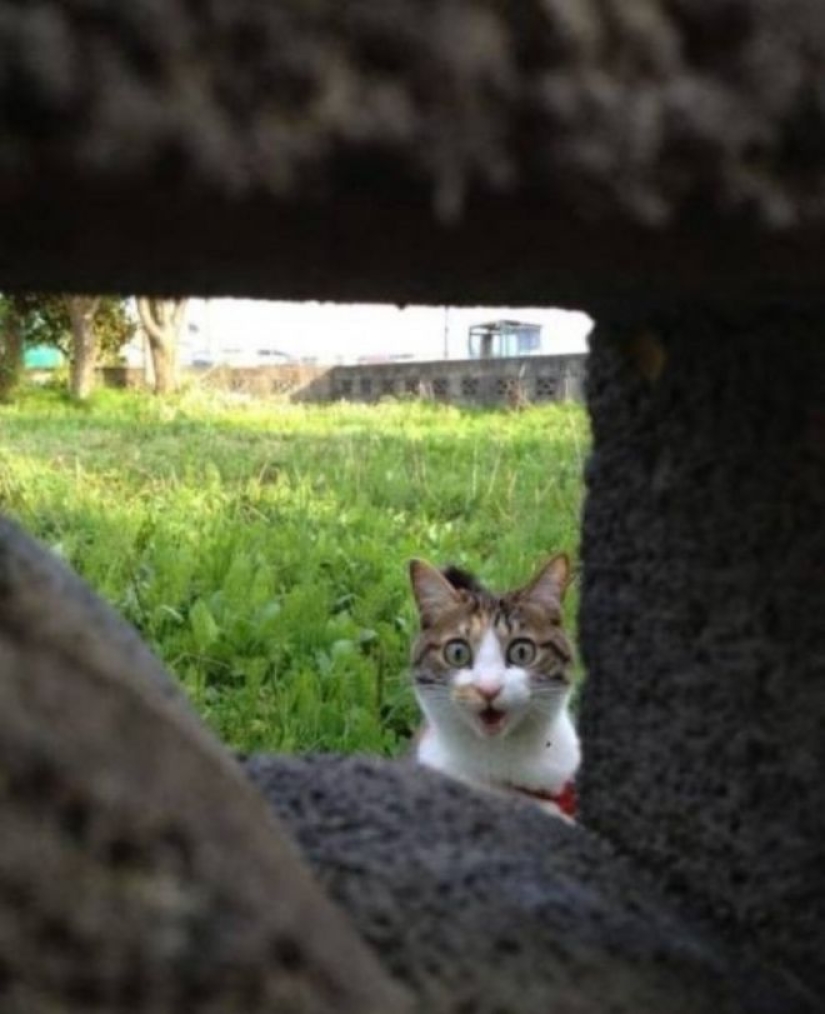 20 emotional snapshots that will melt the heart of even the "biscuit" 20 emotional snapshots that will melt the heart of even the "biscuit"