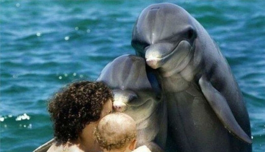 20 emotional snapshots that will melt the heart of even the "biscuit" 20 emotional snapshots that will melt the heart of even the "biscuit"