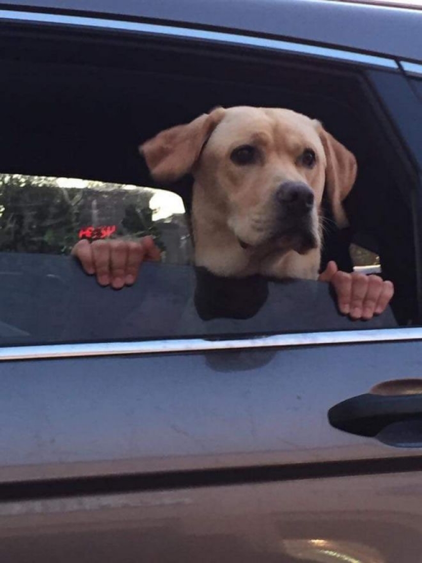 20 emotional snapshots that will melt the heart of even the "biscuit" 20 emotional snapshots that will melt the heart of even the "biscuit"