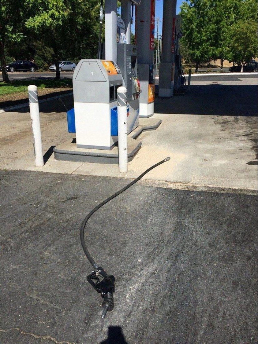 20 épica del fracaso y de las escuelas que usted está seguro de animar 20 épica del fracaso y de las escuelas que usted está seguro de animar