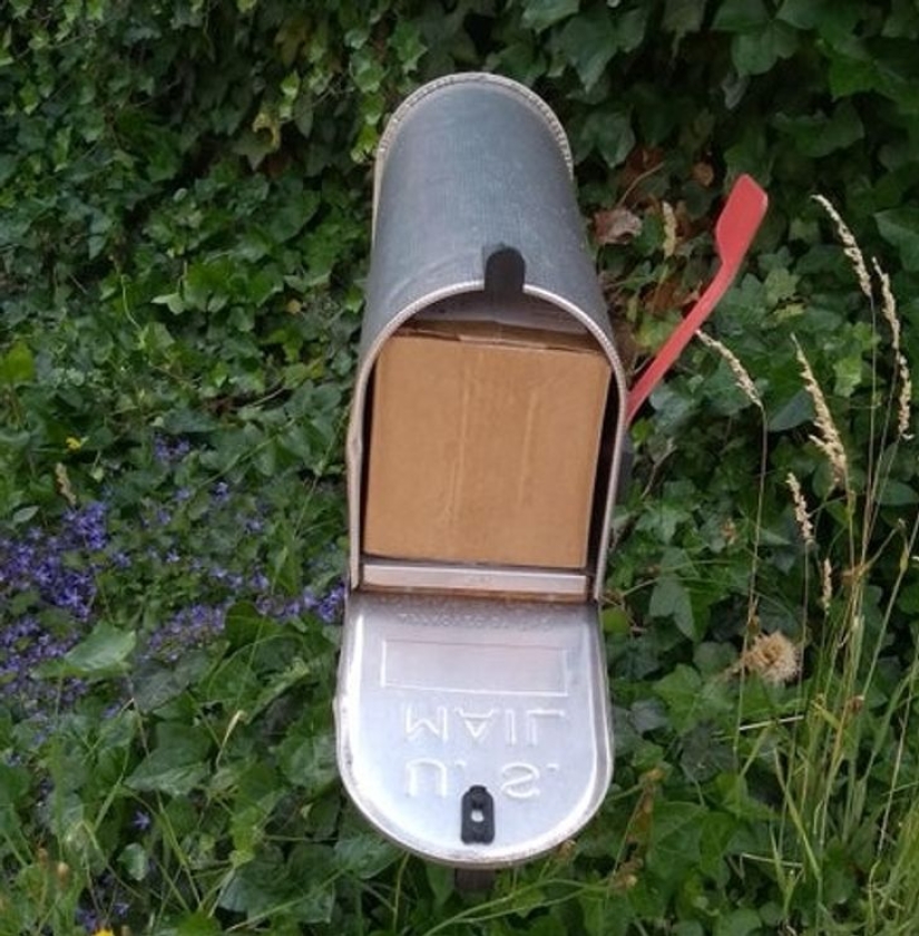 20 épica del fracaso y de las escuelas que usted está seguro de animar 20 épica del fracaso y de las escuelas que usted está seguro de animar