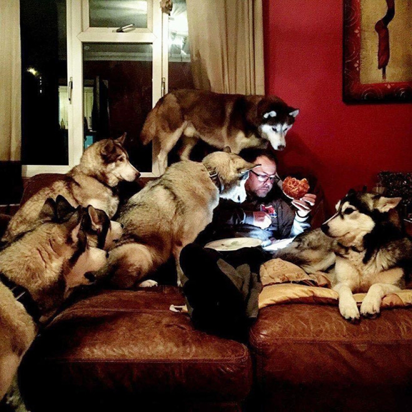 20 everyday subjects, as if copied from the paintings of the Renaissance 20 everyday subjects, as if copied from the paintings of the Renaissance