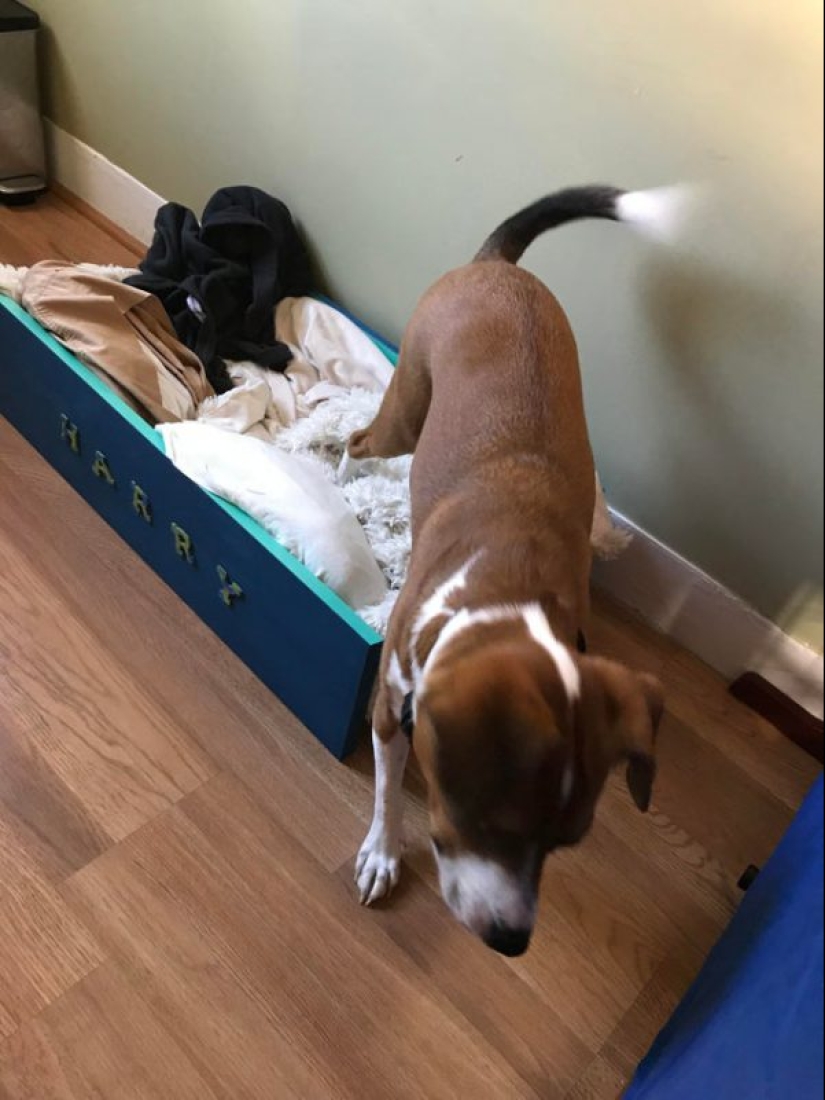 20 examples of how you can give a new life to old furniture 20 examples of how you can give a new life to old furniture