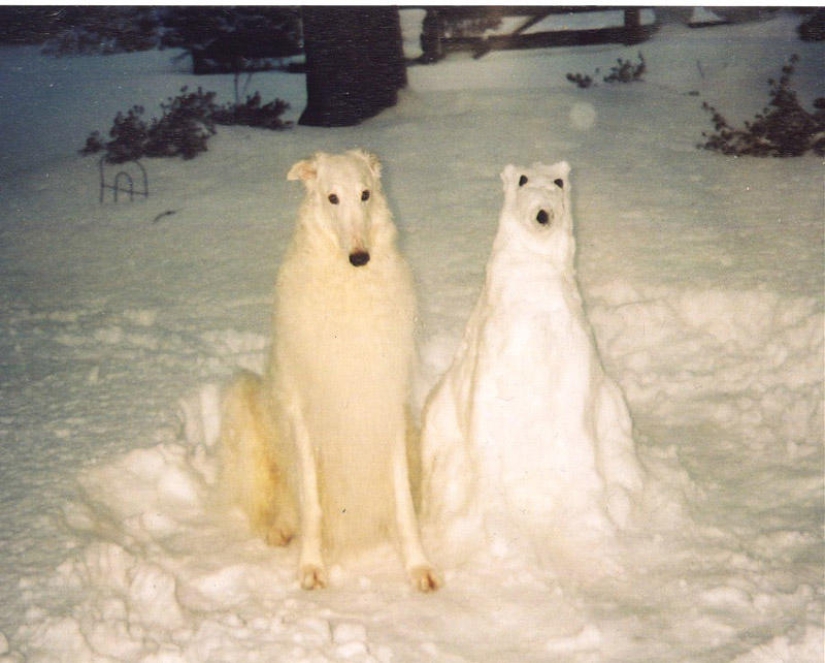 20 examples of what else, besides a snowman, can be made of snow