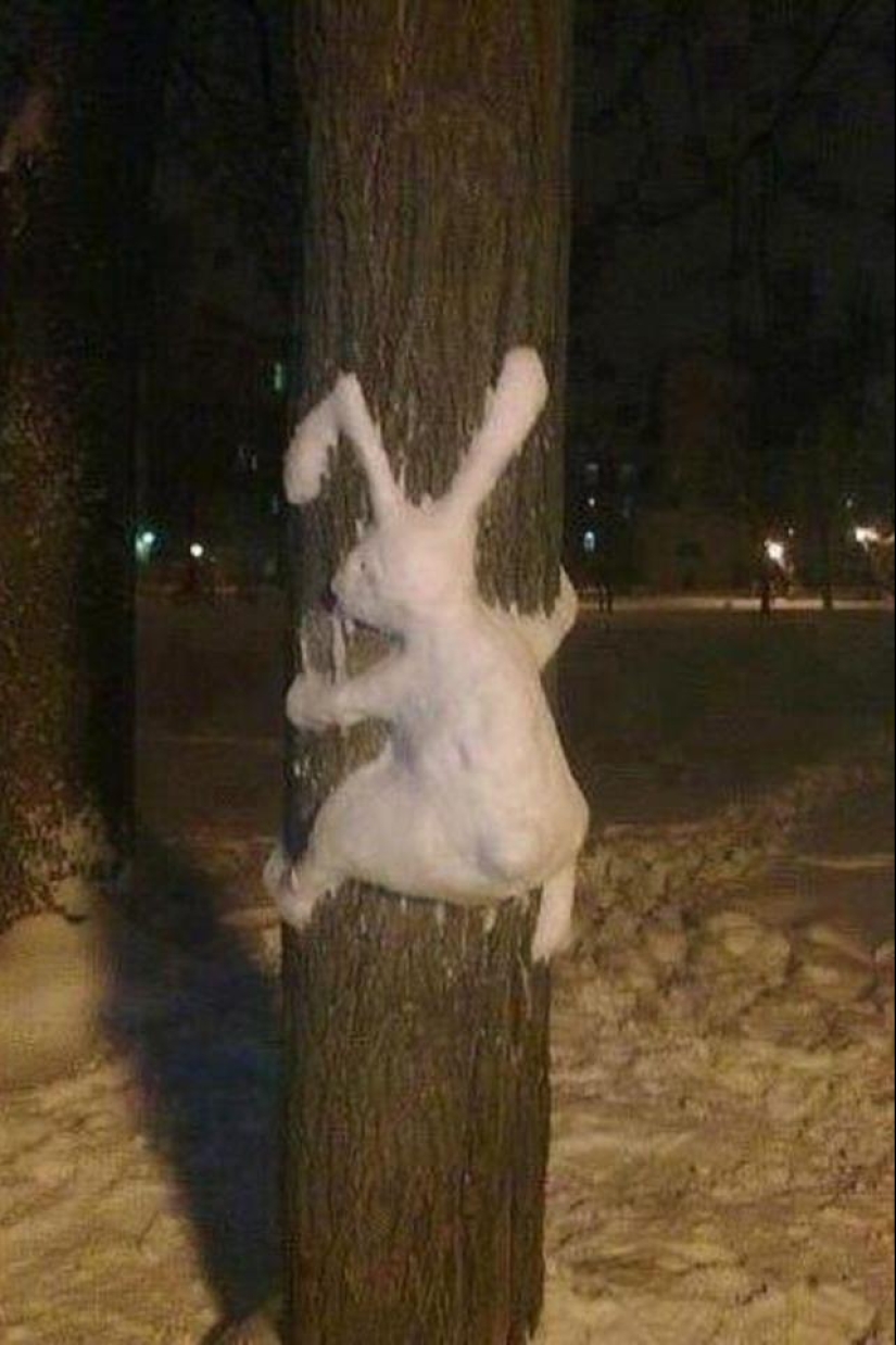 20 examples of what else, besides a snowman, can be made of snow