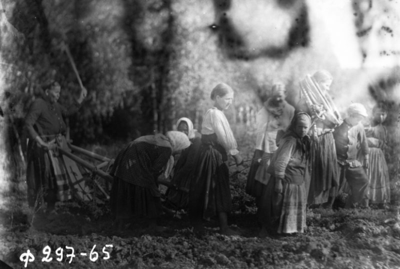 20 fascinating photos from the past that will broaden your knowledge about the history