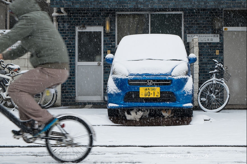 20 fotogramas de fotografía callejera que revelan un lado desconocido de Japón 20 fotogramas de fotografía callejera que revelan un lado desconocido de Japón