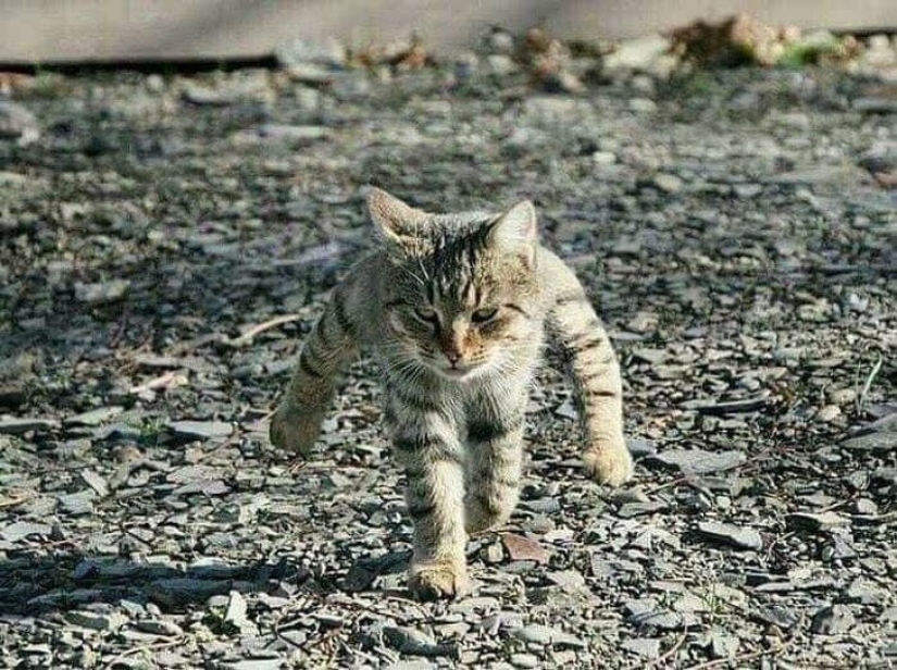 20 fotos ambiguas, que no son inmediatamente claro lo que está sucediendo allí