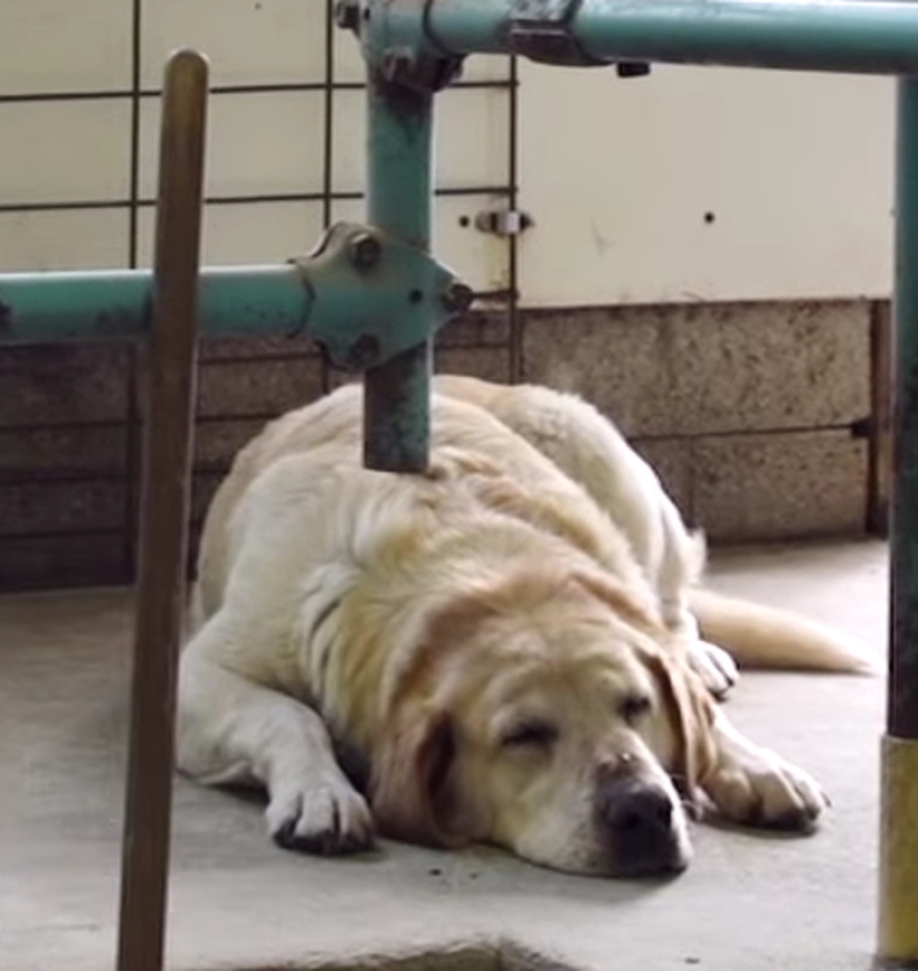 20 fotos ambiguas, que no son inmediatamente claro lo que está sucediendo allí