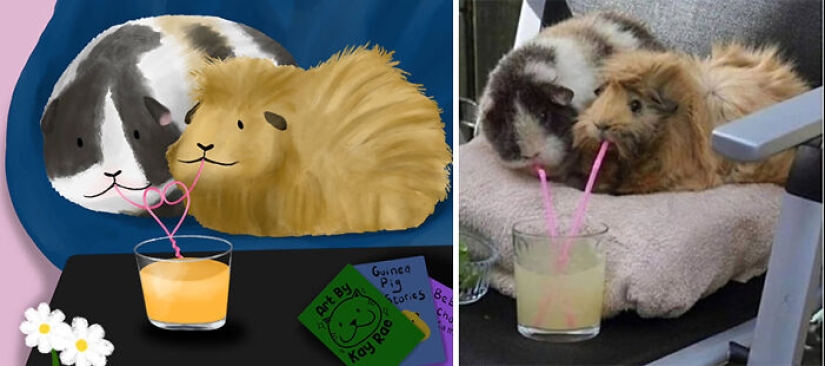 20 fotos de animales adorables e hilarantes dibujadas por esta artista