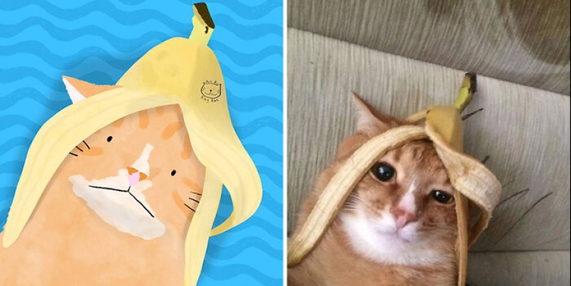 20 fotos de animales adorables e hilarantes dibujadas por esta artista