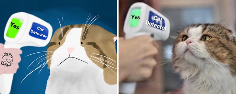 20 fotos de animales adorables e hilarantes dibujadas por esta artista