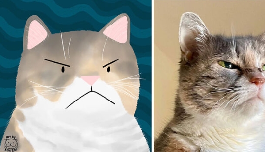 20 fotos de animales adorables e hilarantes dibujadas por esta artista 20 fotos de animales adorables e hilarantes dibujadas por esta artista