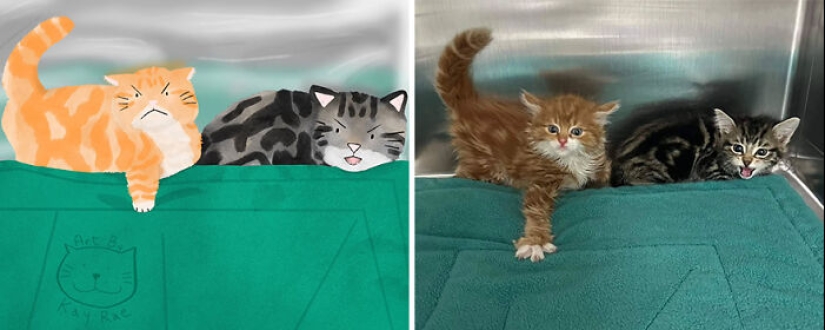 20 fotos de animales adorables e hilarantes dibujadas por esta artista