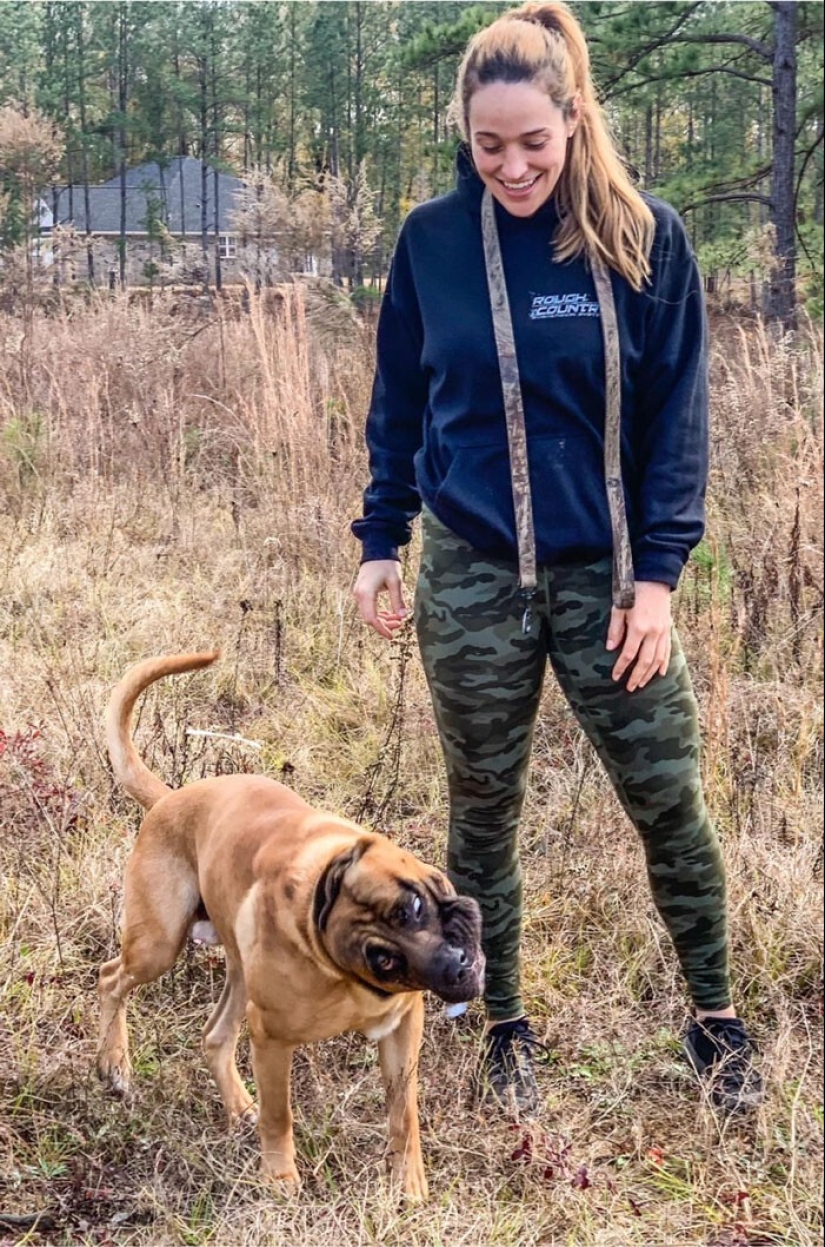 20 + fotos divertidas de perros con los que algo claramente salió mal 20 + fotos divertidas de perros con los que algo claramente salió mal