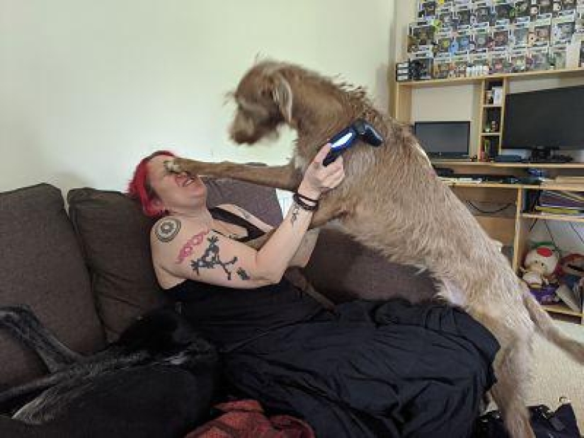 20 fotos divertidas tomadas en el momento perfecto 20 fotos divertidas tomadas en el momento perfecto