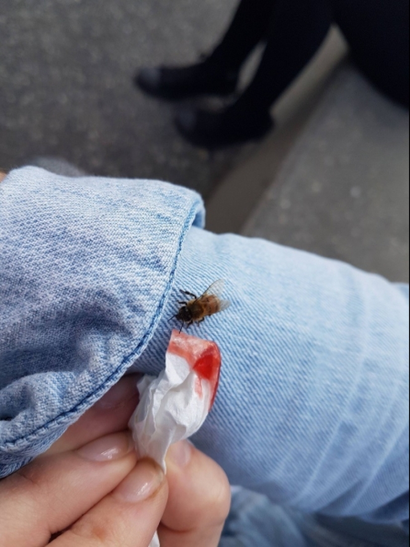 20 fotos dramáticas que movió todas las profundidades