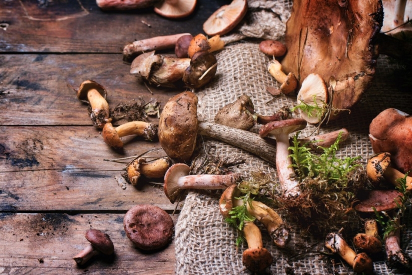 20 fotos en las que el orden triunfó sobre el caos 20 fotos en las que el orden triunfó sobre el caos