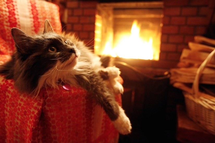 20 fotos en las que el orden triunfó sobre el caos 20 fotos en las que el orden triunfó sobre el caos