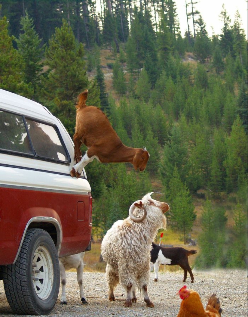 20 fotos extraordinarias que rompen todas las leyes conocidas de la física 20 fotos extraordinarias que rompen todas las leyes conocidas de la física