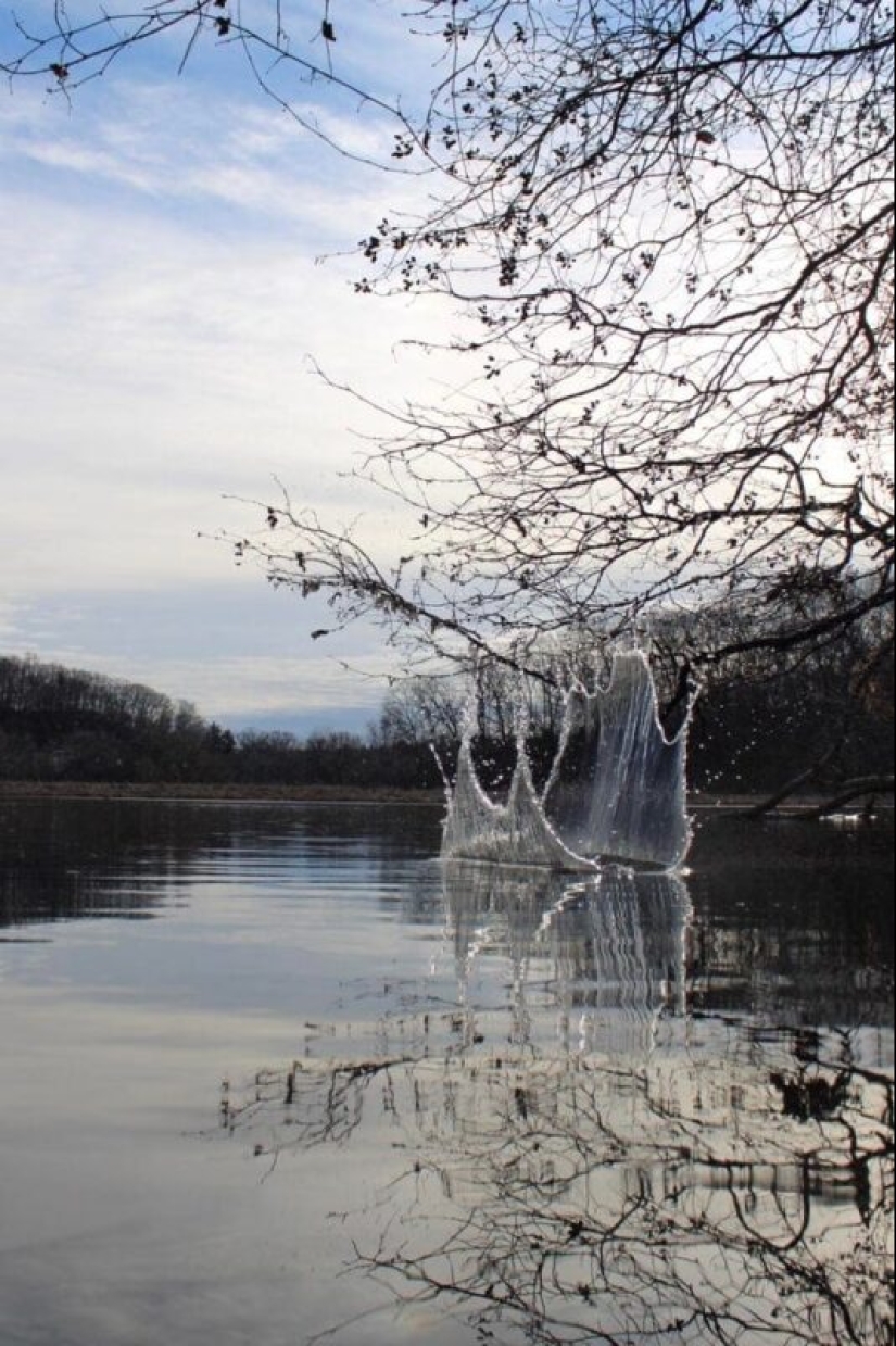 20 fotos geniales de la categoría "en el momento adecuado en el lugar adecuado" 20 fotos geniales de la categoría "en el momento adecuado en el lugar adecuado"