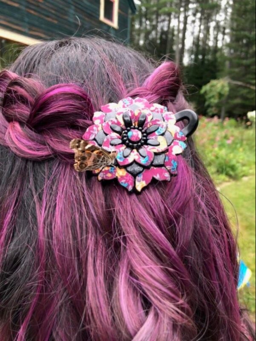 20 fotos geniales de la categoría "en el momento adecuado en el lugar adecuado" 20 fotos geniales de la categoría "en el momento adecuado en el lugar adecuado"