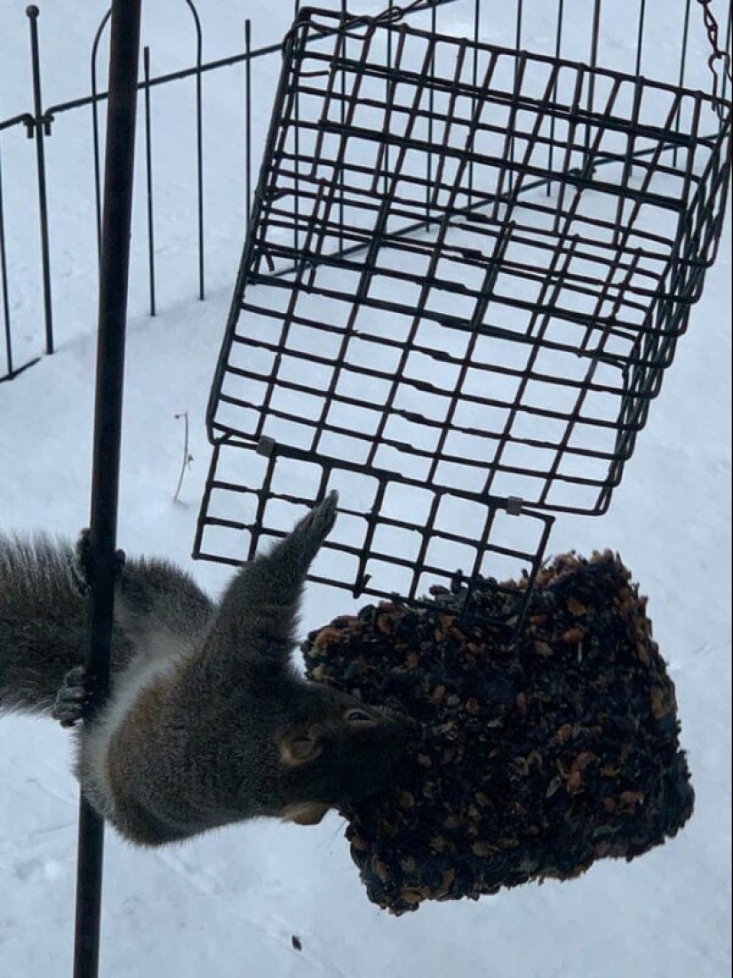 20 fotos geniales de la categoría "en el momento adecuado en el lugar adecuado" 20 fotos geniales de la categoría "en el momento adecuado en el lugar adecuado"