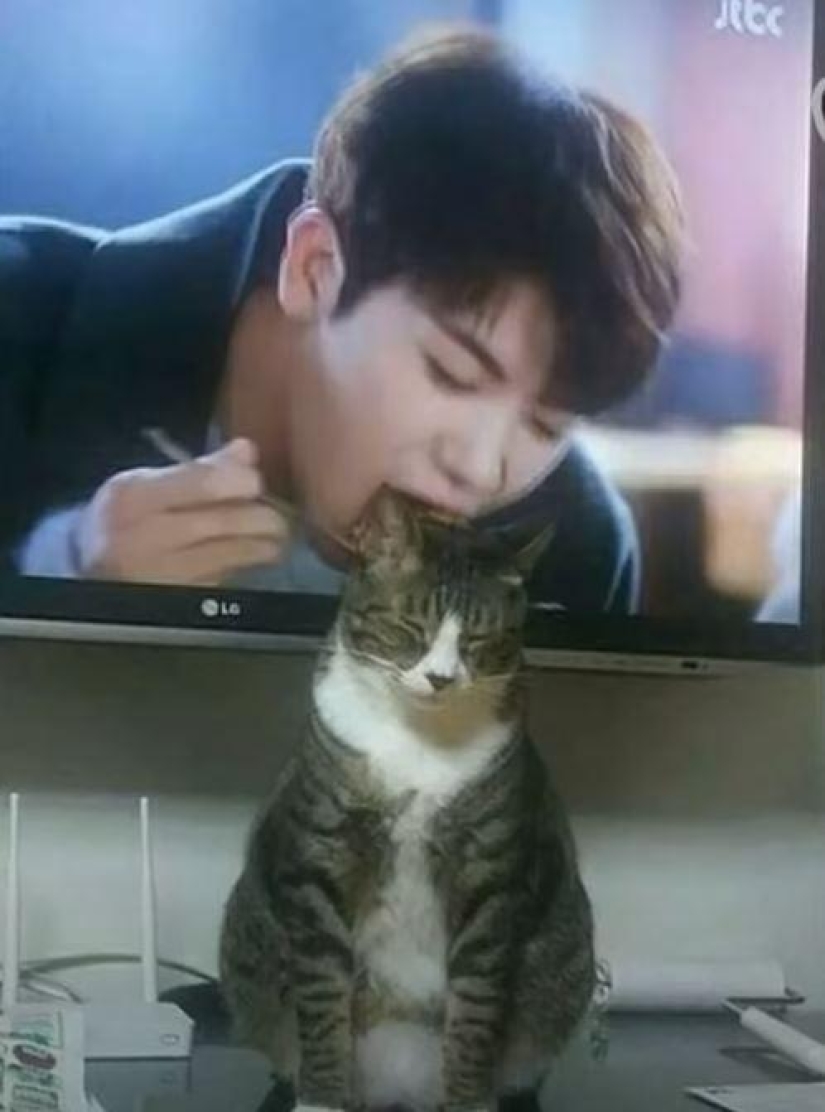 20 fotos geniales de la categoría "en el momento adecuado en el lugar adecuado" 20 fotos geniales de la categoría "en el momento adecuado en el lugar adecuado"