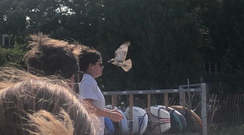 20 fotos geniales de la categoría "en el momento adecuado en el lugar adecuado" 20 fotos geniales de la categoría "en el momento adecuado en el lugar adecuado"