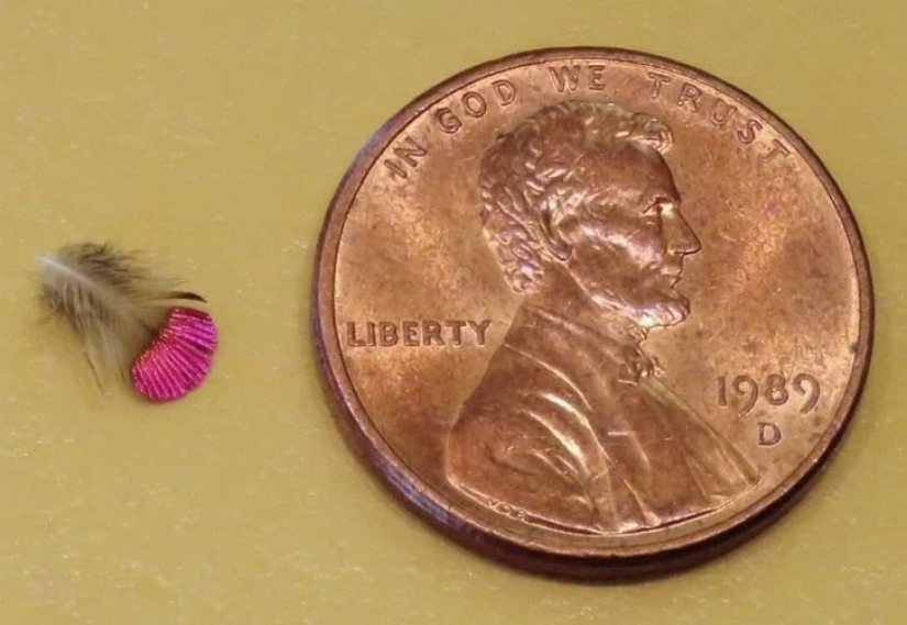 20 fotos impresionantes que necesitas ver al menos una vez en tu vida 20 fotos impresionantes que necesitas ver al menos una vez en tu vida