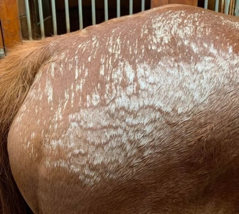 20 fotos impresionantes que necesitas ver al menos una vez en tu vida 20 fotos impresionantes que necesitas ver al menos una vez en tu vida