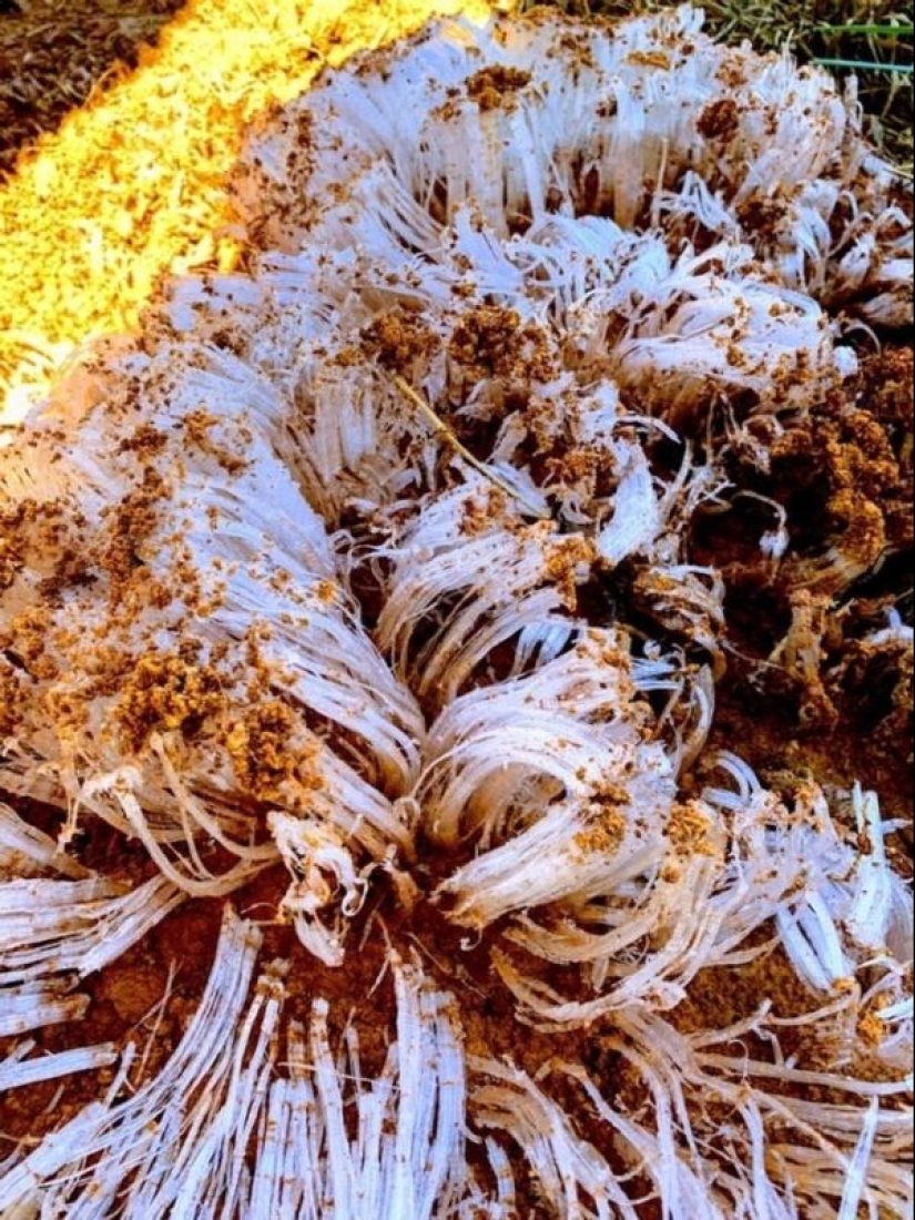 20 fotos impresionantes que necesitas ver al menos una vez en tu vida 20 fotos impresionantes que necesitas ver al menos una vez en tu vida