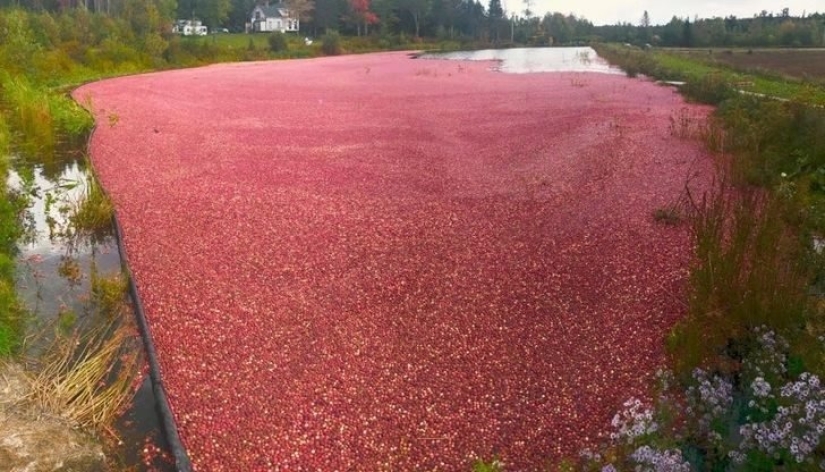 20 fotos impresionantes que necesitas ver al menos una vez en tu vida 20 fotos impresionantes que necesitas ver al menos una vez en tu vida