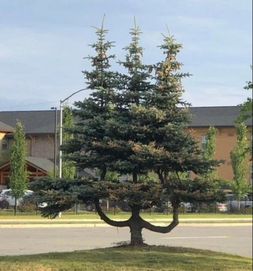 20 fotos impresionantes que necesitas ver al menos una vez en tu vida 20 fotos impresionantes que necesitas ver al menos una vez en tu vida