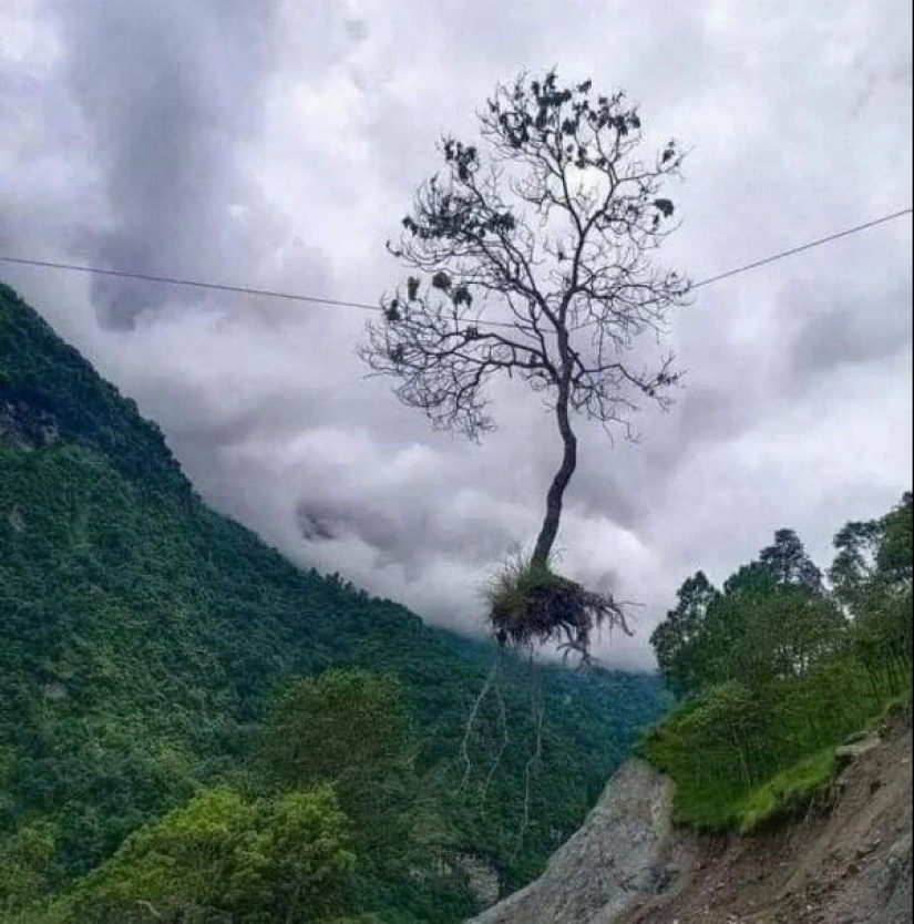 20 fotos impresionantes que necesitas ver al menos una vez en tu vida 20 fotos impresionantes que necesitas ver al menos una vez en tu vida