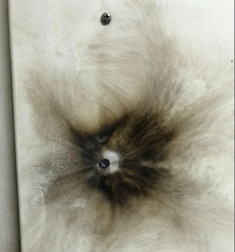 20 fotos impresionantes que necesitas ver al menos una vez en tu vida 20 fotos impresionantes que necesitas ver al menos una vez en tu vida