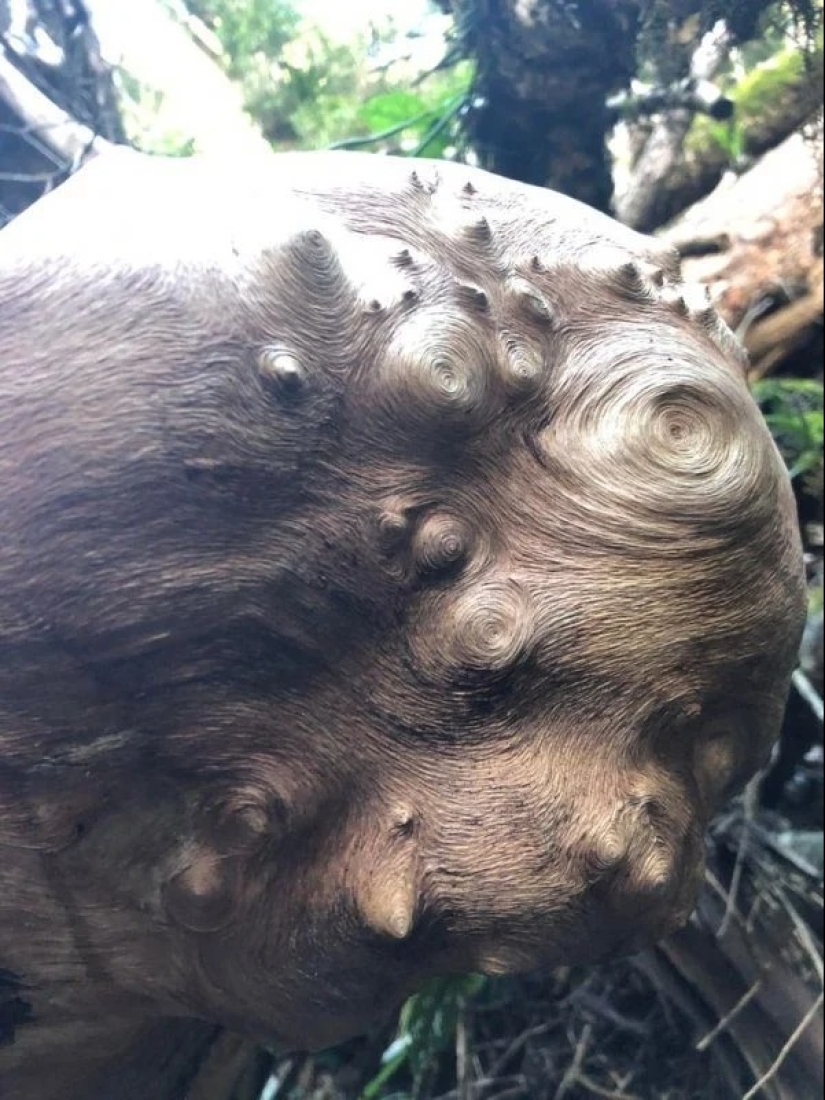 20 fotos impresionantes que necesitas ver al menos una vez en tu vida 20 fotos impresionantes que necesitas ver al menos una vez en tu vida